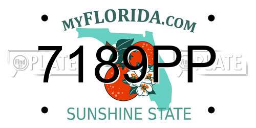 7189PP Florida License Plate