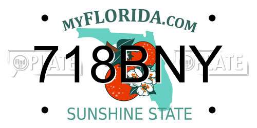 718BNY Florida License Plate