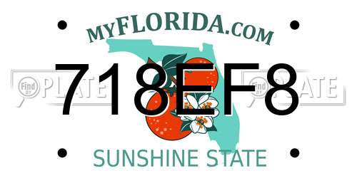 718EF8 Florida License Plate