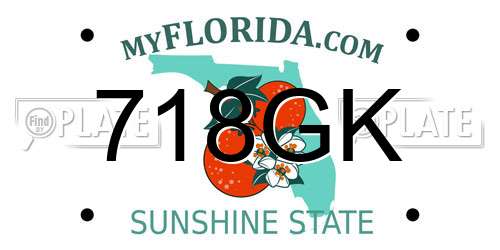 718GK Florida License Plate