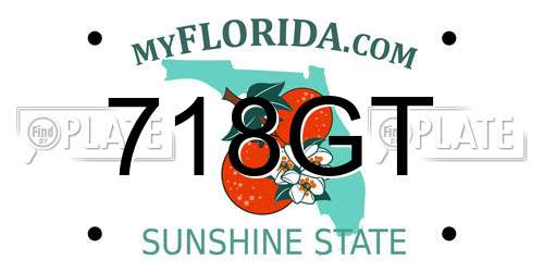 718GT Florida License Plate