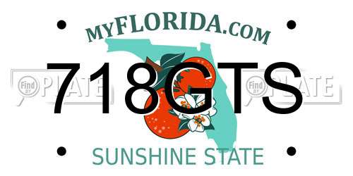 718GTS Florida License Plate