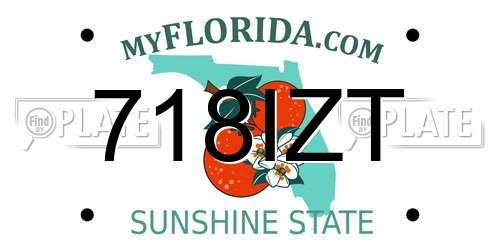 718IZT Florida License Plate
