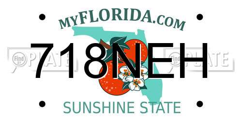 718NEH Florida License Plate
