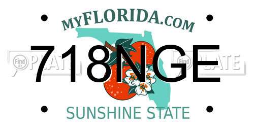 718NGE Florida License Plate
