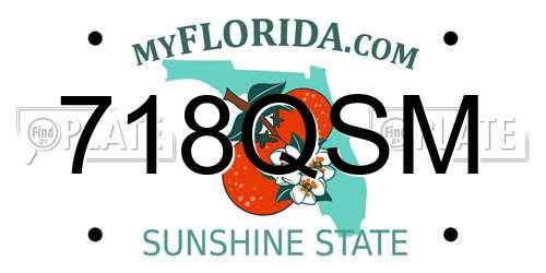 718QSM Florida License Plate