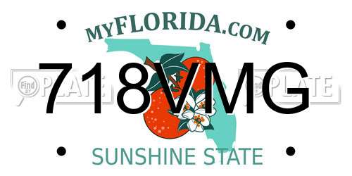 718VMG Florida License Plate