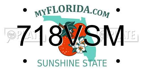 718VSM Florida License Plate