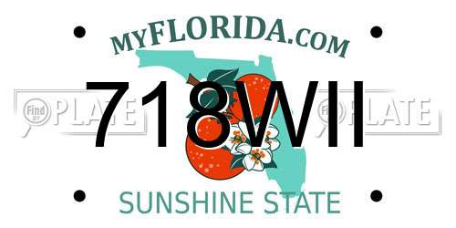 718WII Florida License Plate