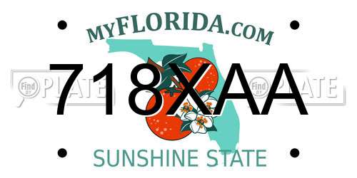 718XAA Florida License Plate