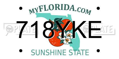 718YKE Florida License Plate