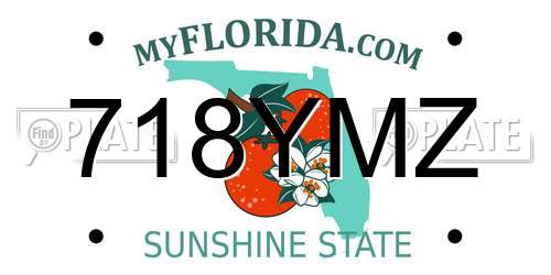 718YMZ Florida License Plate