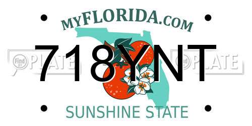718YNT Florida License Plate