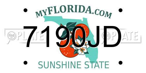 7190JD Florida License Plate