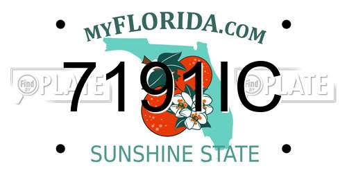 7191IC Florida License Plate