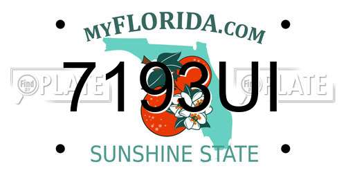 7193UI Florida License Plate