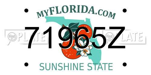 71965Z Florida License Plate