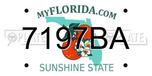 7197BA Florida License Plate
