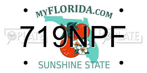 719NPF Florida License Plate