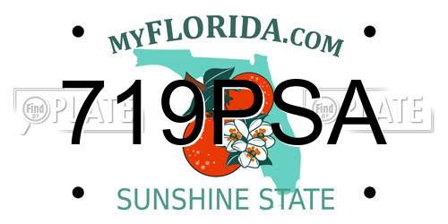 719PSA Florida License Plate