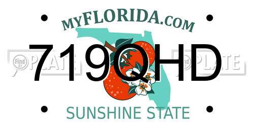 719QHD Florida License Plate