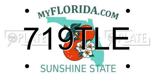 719TLE Florida License Plate