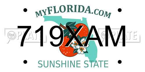 719XAM Florida License Plate