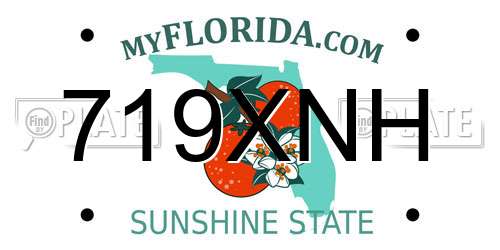 719XNH Florida License Plate