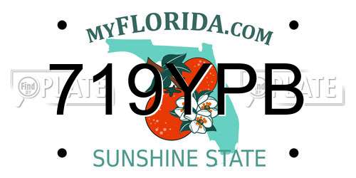 719YPB Florida License Plate