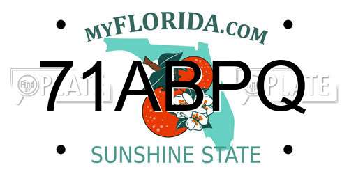 71ABPQ Florida License Plate