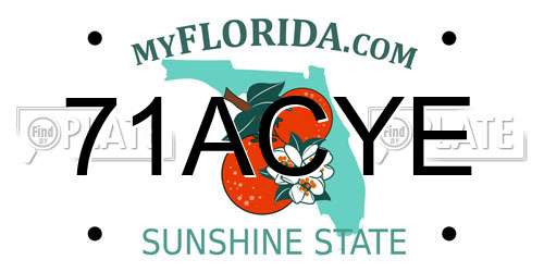 71ACYE Florida License Plate