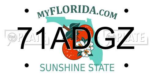 71ADGZ Florida License Plate