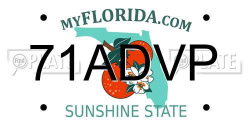 71ADVP Florida License Plate