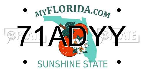 71ADYY Florida License Plate