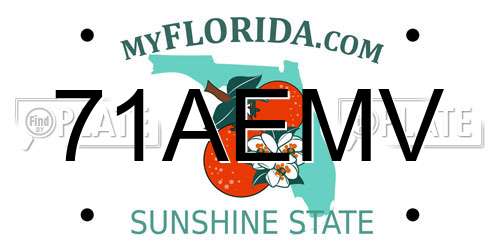 71AEMV Florida License Plate