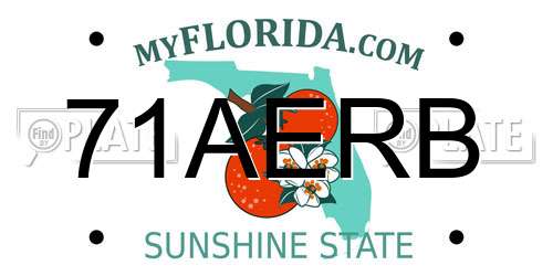 71AERB Florida License Plate