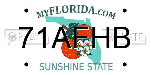 71AFHB Florida License Plate