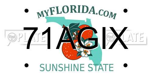 71AGIX Florida License Plate