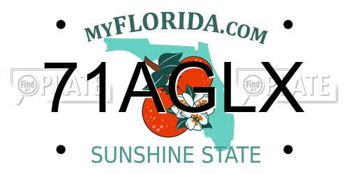 71AGLX Florida License Plate