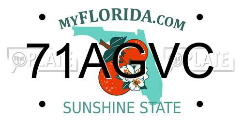 71AGVC Florida License Plate