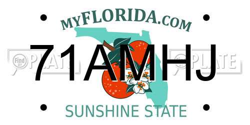 71AMHJ Florida License Plate