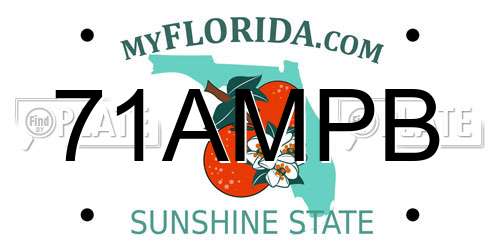 71AMPB Florida License Plate