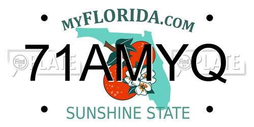 71AMYQ Florida License Plate