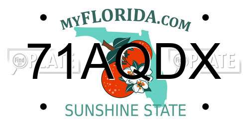 71AQDX Florida License Plate