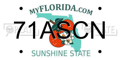 71ASCN Florida License Plate