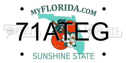 71ATEG Florida License Plate