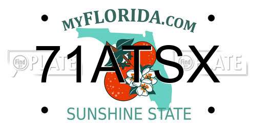 71ATSX Florida License Plate