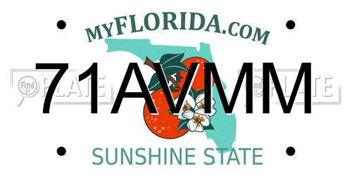 71AVMM Florida License Plate