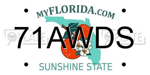 71AWDS Florida License Plate