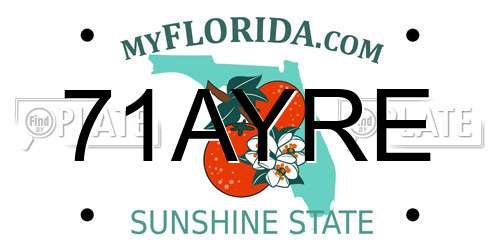 71AYRE Florida License Plate